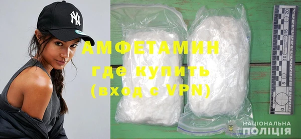 шишки Заволжск