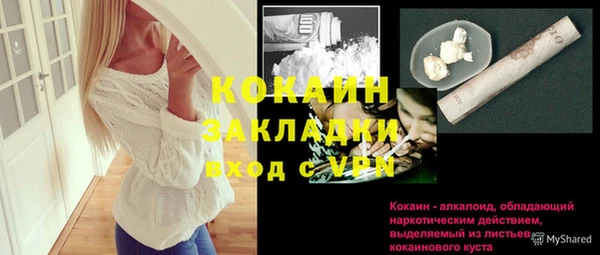 шишки Заволжск