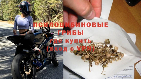 эйфоретик Заводоуковск
