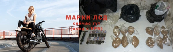 шишки Заволжск