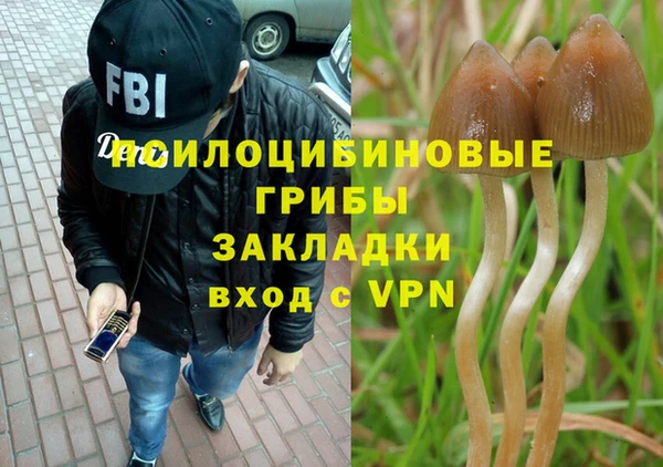 ешки Заволжье