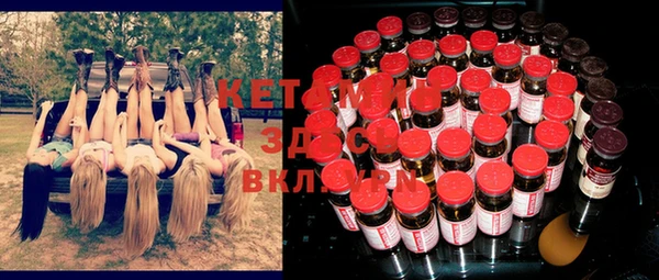 шишки Заволжск