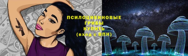 шишки Заволжск