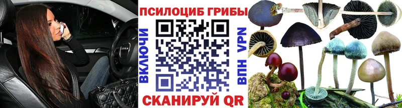 Купить  Ладушкин  Псилоцибиновые грибы Psilocybe 
